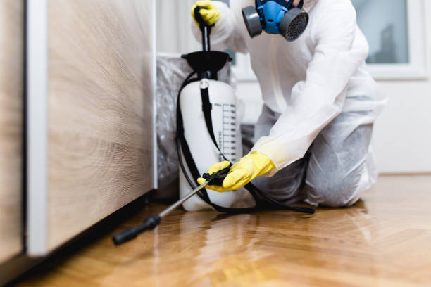 Best Affordable Pest Control Services  in Petaluma, CA