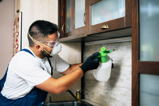 Best Termite Control Services  in Petaluma, CA