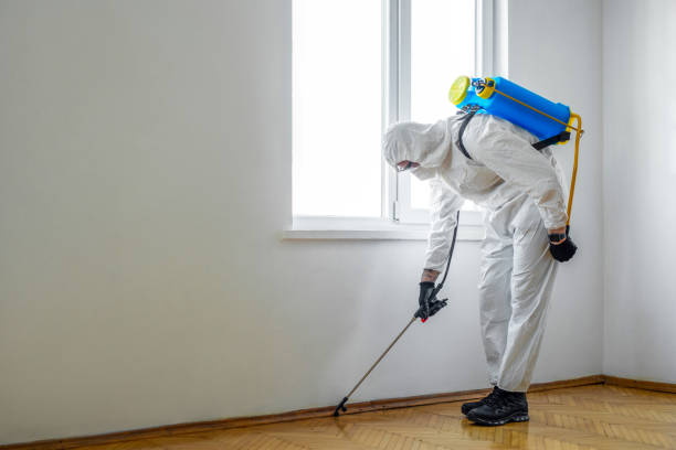 Reliable Petaluma, CA Pest Control Solutions