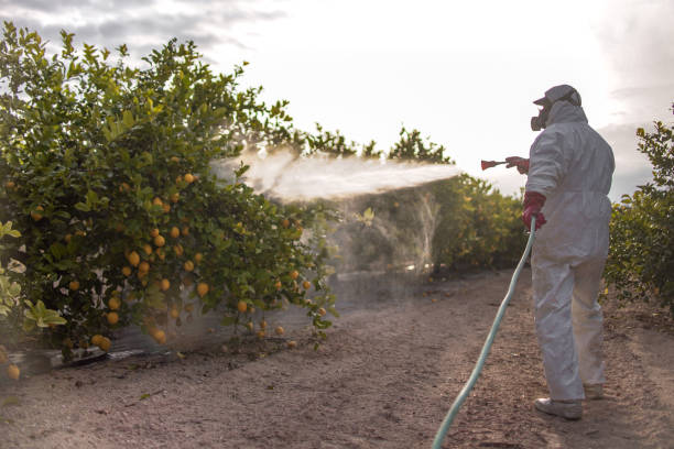  Petaluma, CA Pest Control Pros