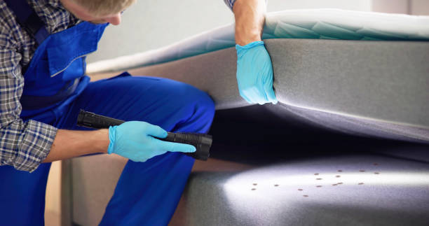 Best Residential Pest Control  in Petaluma, CA