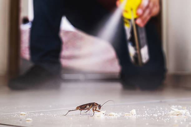 Best Pest Prevention Services  in Petaluma, CA