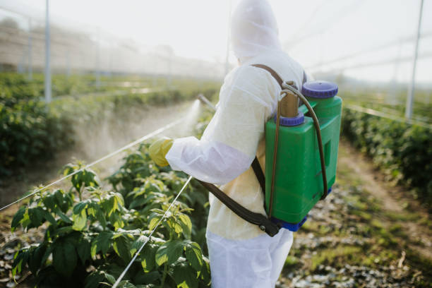 Best Bed Bug Extermination  in Petaluma, CA